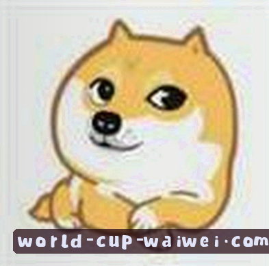 孙婷